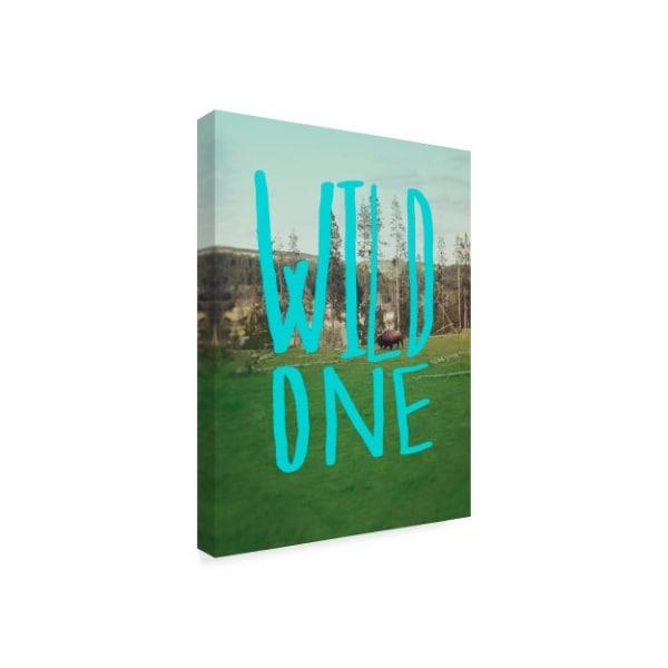 Leah Flores 'Wild One Art' Canvas Art,14x19